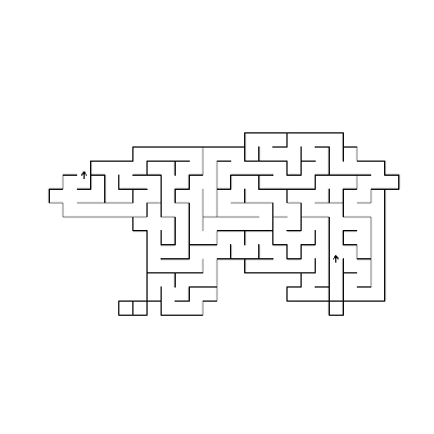 Bear maze result